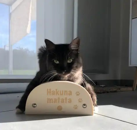 Griffoir chat "Hakuna Matata"
