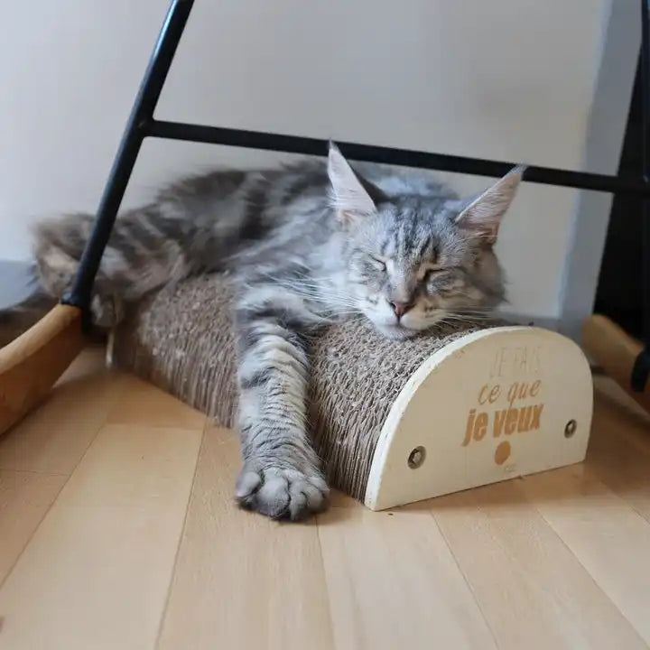 Griffoir chat "Je fais ce que je veux"