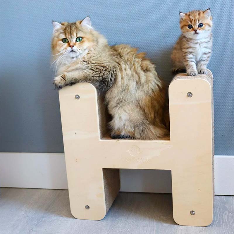 Griffoir Lettre H XL