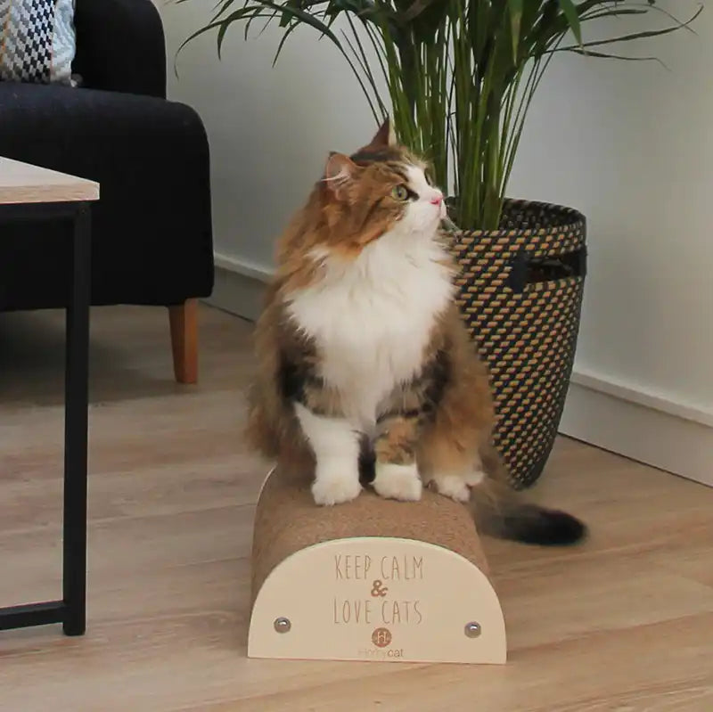 Griffoir chat "Keep Calm and love cats"