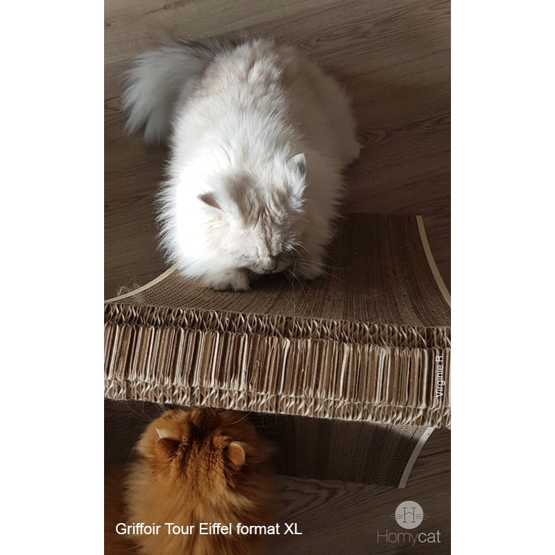 chats-griffe-grattoir-tour-eiffel-haut-carton-robuste-rechargable-homycat