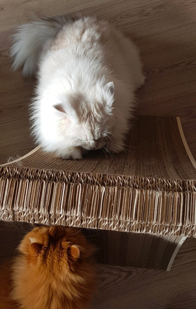 Griffoir Tour Eiffel avec le motif