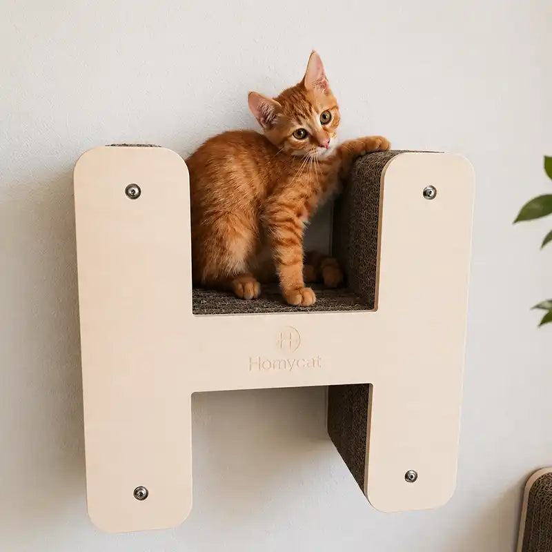 Lettre griffoir mural pour chat au choix (A à Z)
