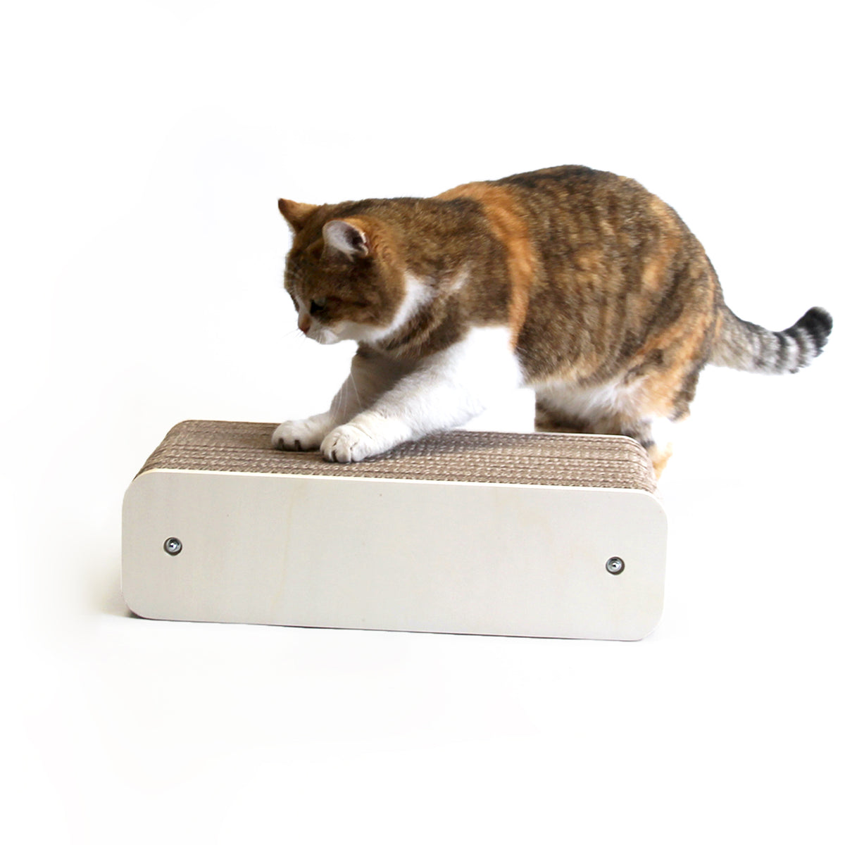 lettre-chat-homycat-i-solide-durable-discret-mobilier-simple-esthétique-bois-carton-homycat