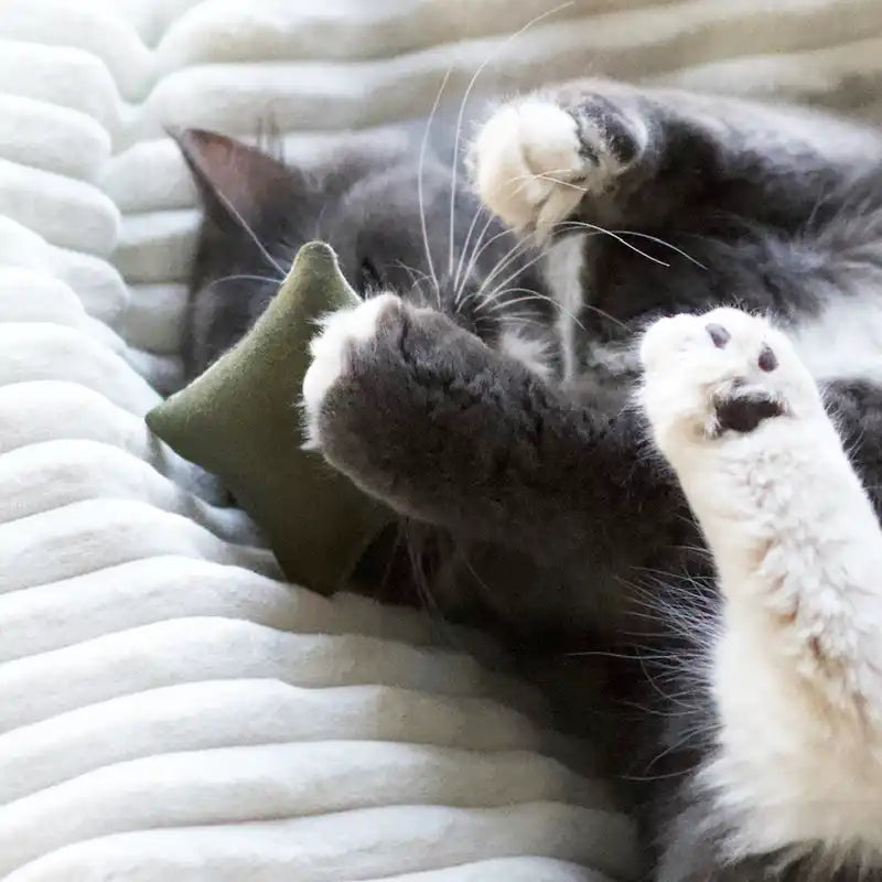 Mini-coussin - Jouet pour chat - catnip