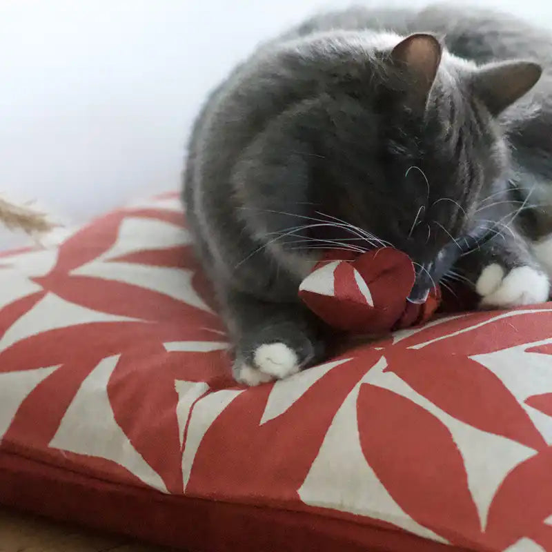 Souris - Jouet pour chat - catnip