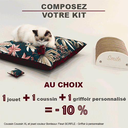 Pack Confort Chat -10% 🐱 : 1 Griffoir + Couchage + Jouet au choix