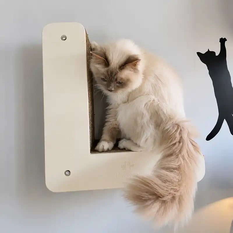 griffoir-rechargeable-letteL-chat-madeinfrance