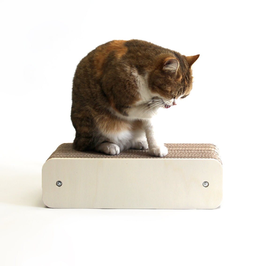 Griffoir Lettre I XL