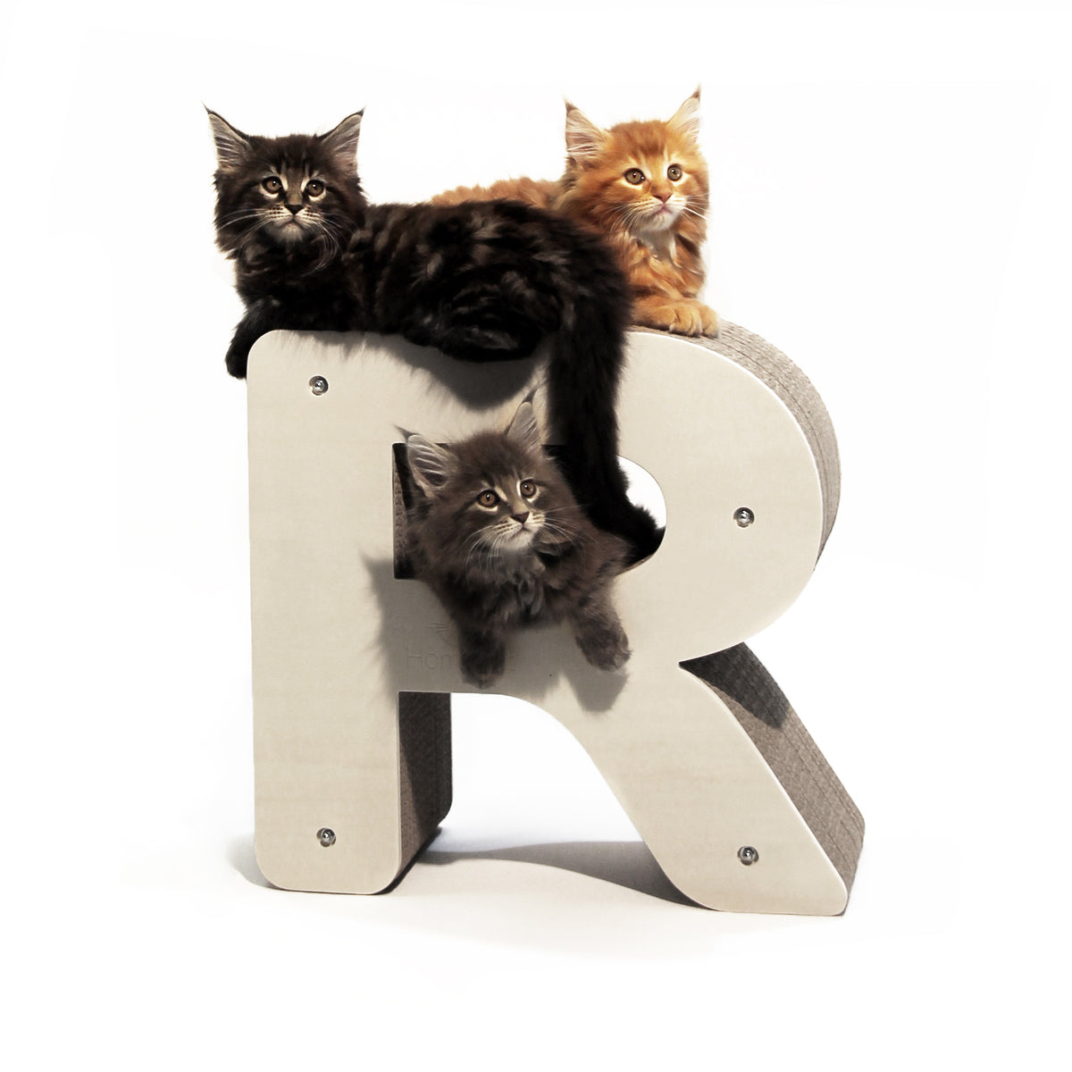 Griffoir Lettre R XL