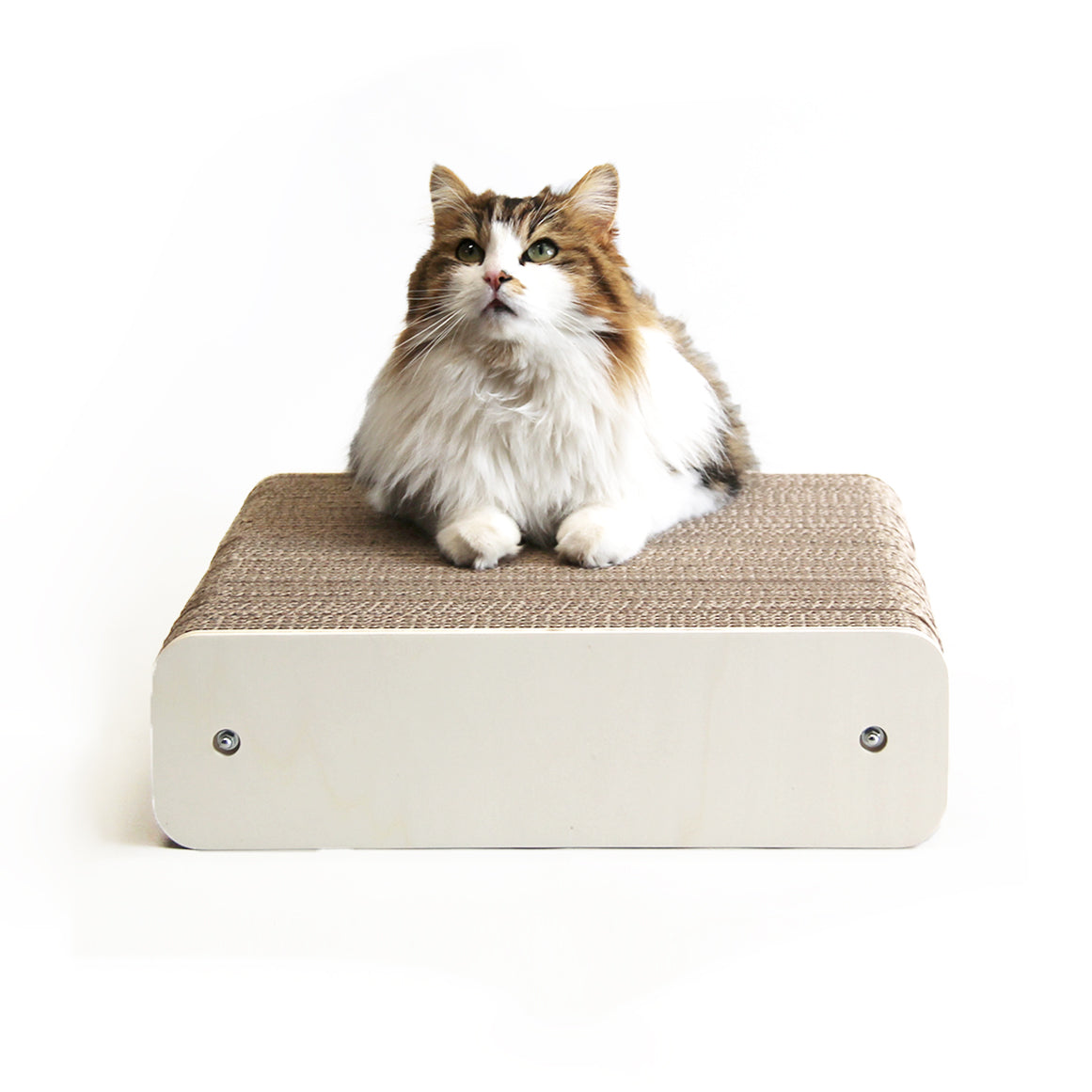 Grattoir naturel simple homycat