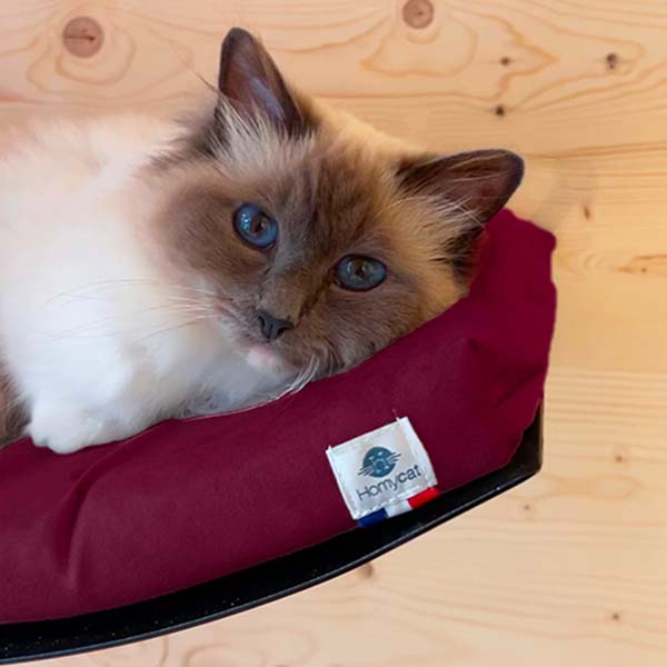 Lit mural avec coussin - Rouge Bordeau