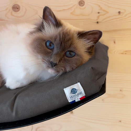 Lit hamac mural avec coussin confort pour chat design