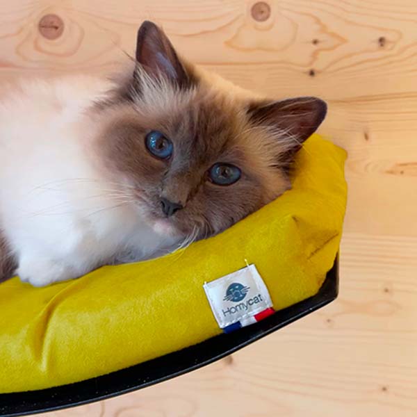 Housse SEULE - Matelas lit hamac mural pour chat design Homycat