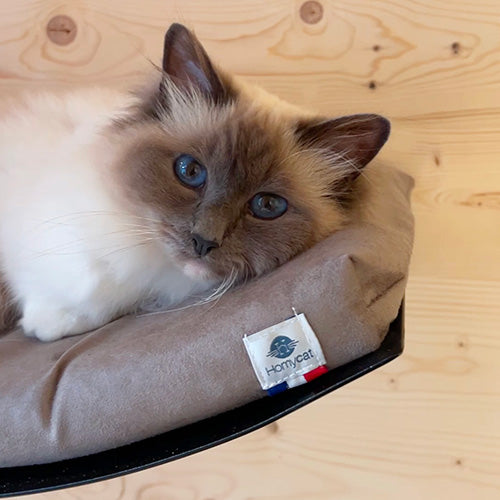 Lit mural pour chat - matelas couleur Taupe - Gris argenté