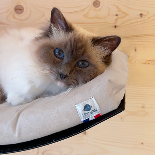 Lit hamac mural avec coussin confort pour chat design