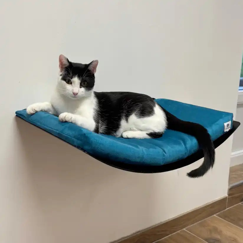 Hamac mural avec coussin - Bleu Canard