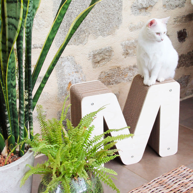 Griffoir Lettre M XL