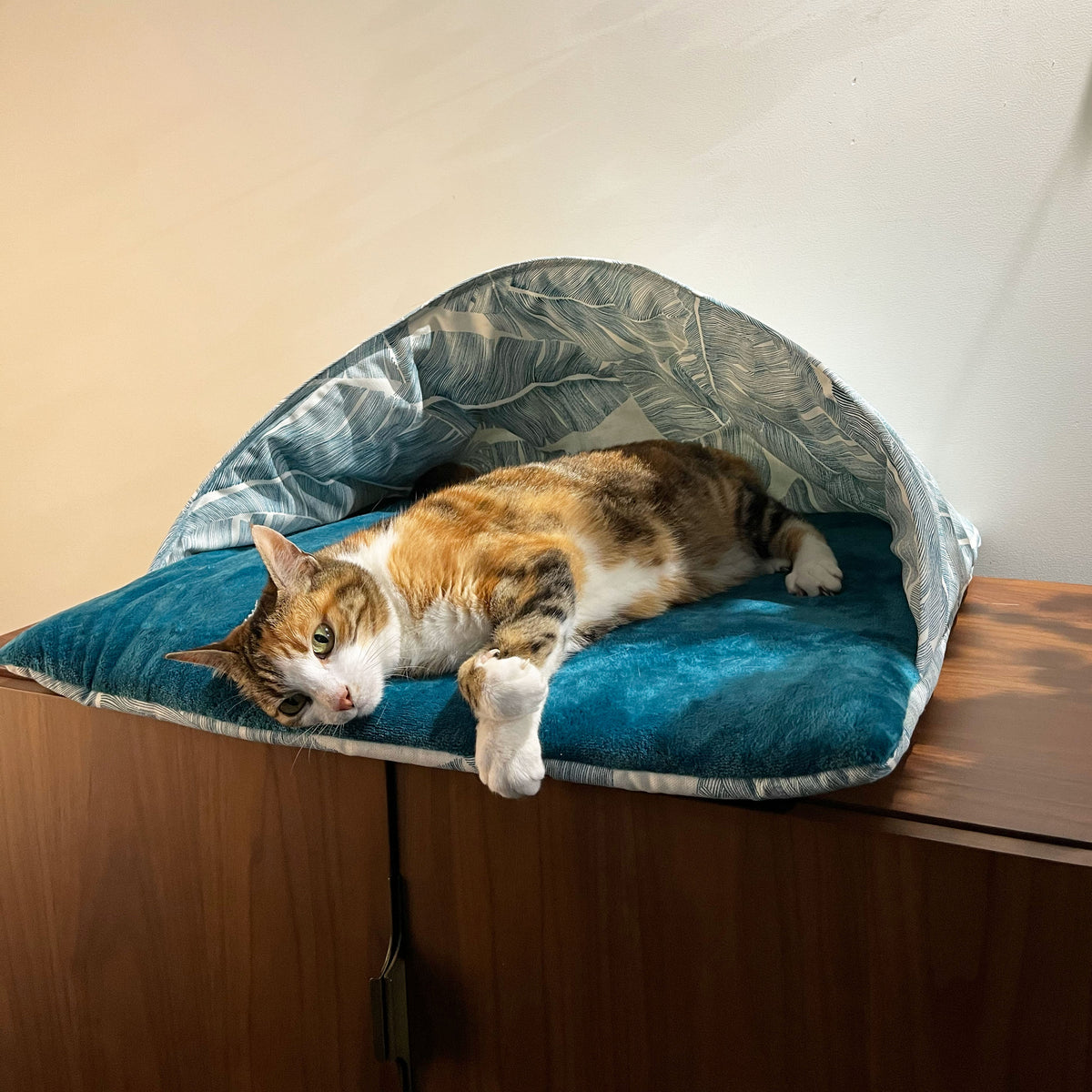 Le moelleux Emeraude Plume - Couchage pouf chat design