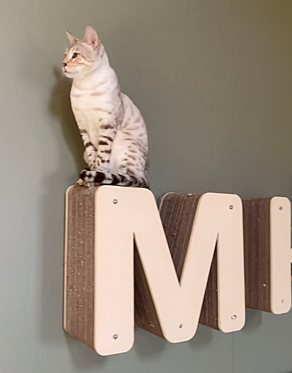 Lettre griffoir mural pour chat au choix (A à Z)