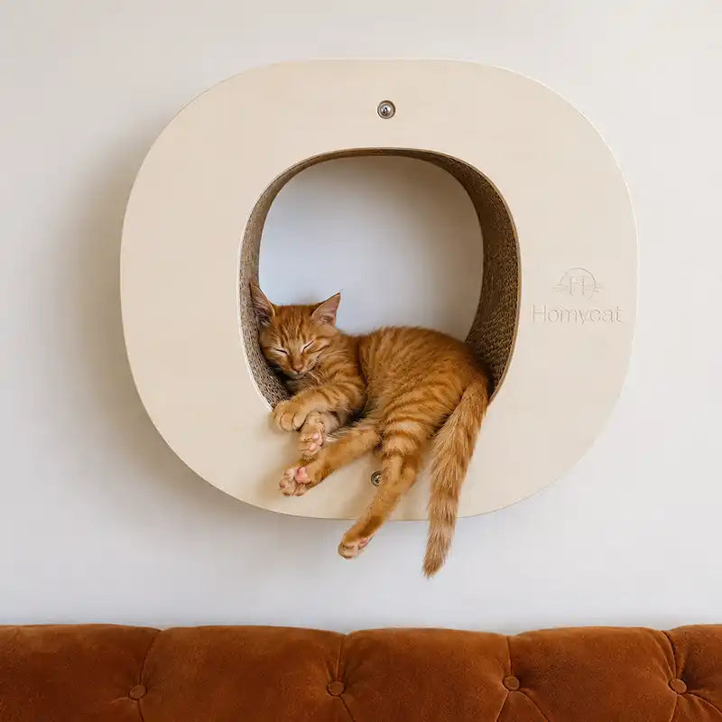 Lettre griffoir mural pour chat au choix (A à Z)