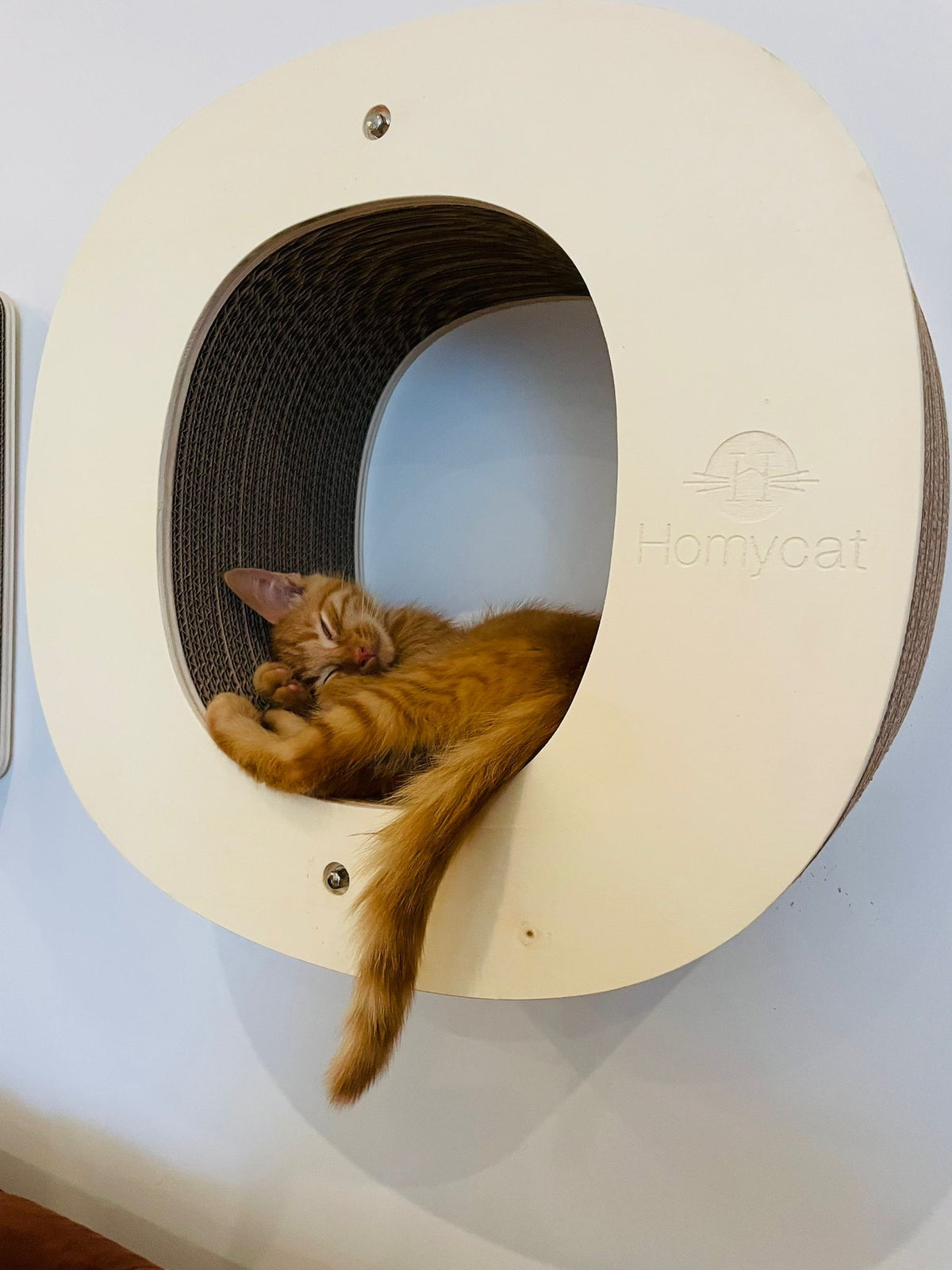 Griffoir Lettre O XL