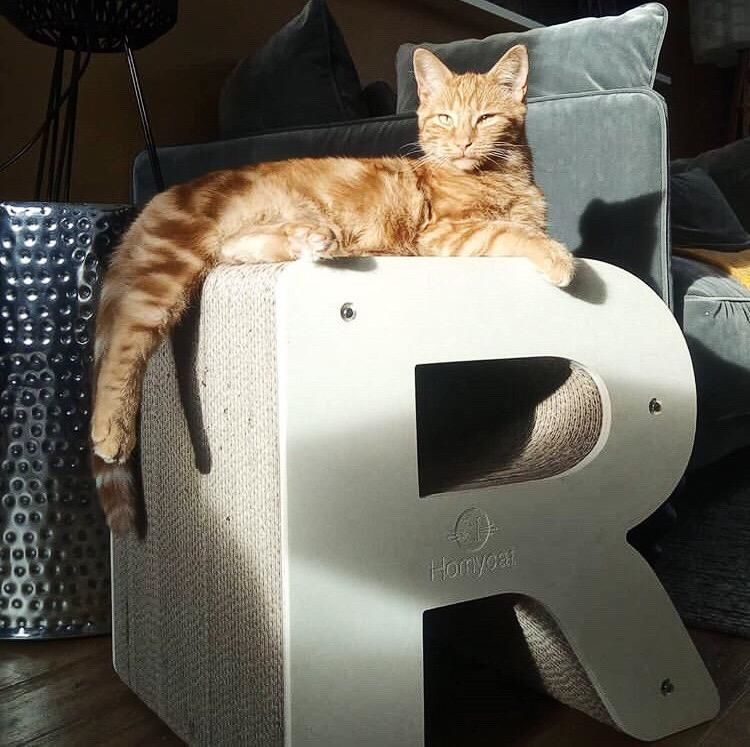 Griffoir Lettre R XL