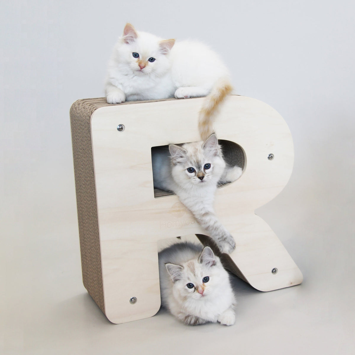 Griffoir Lettre R XL