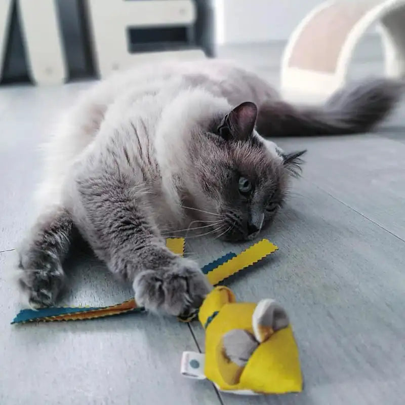 Pack de 4 jouets garnis de cataire