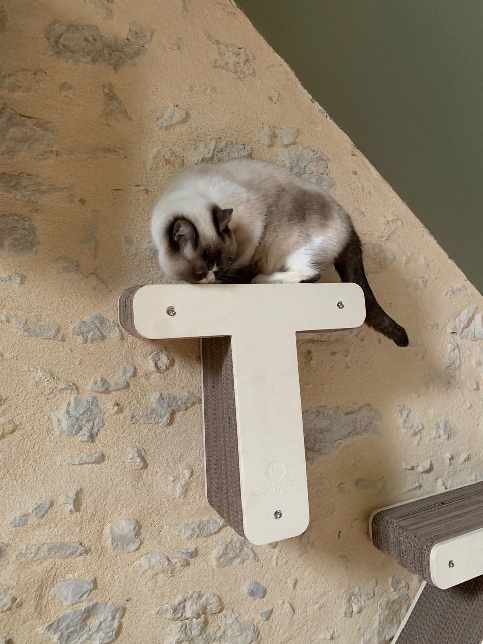 Griffoir Lettre T XL