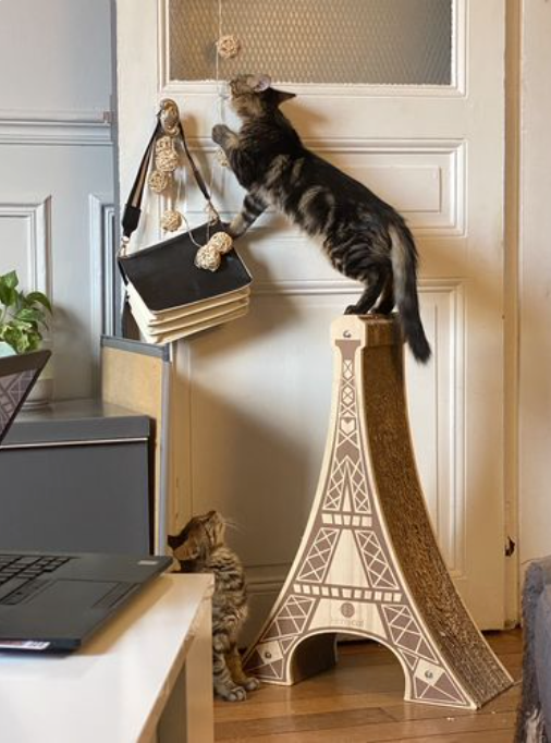 Griffoir Tour Eiffel avec le motif