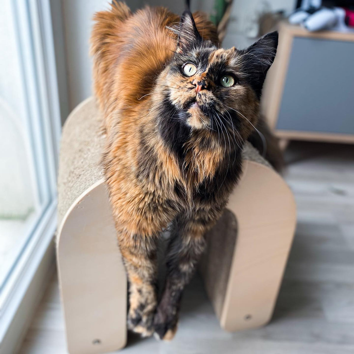 Griffoir Lettre U XL