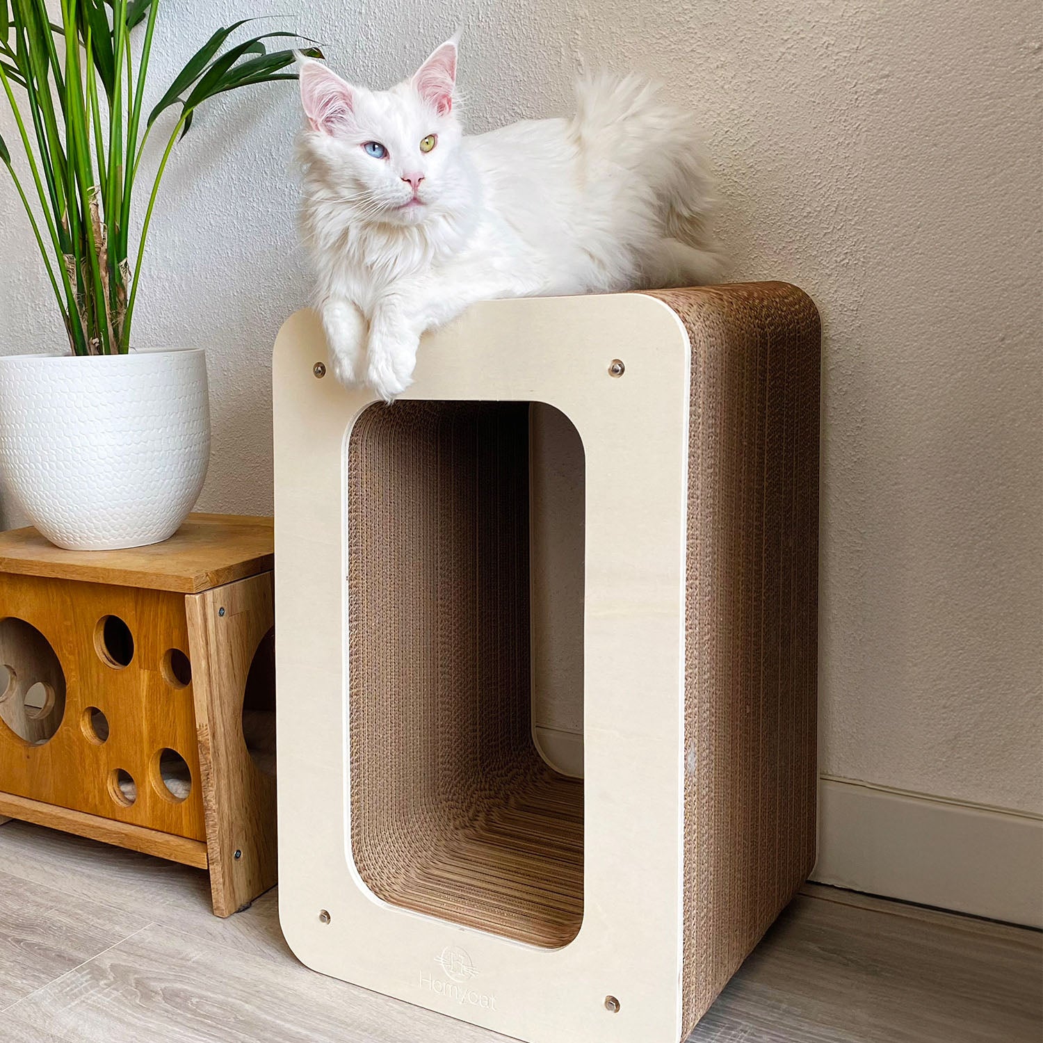 Griffoir grand chat design cadre - Homycat