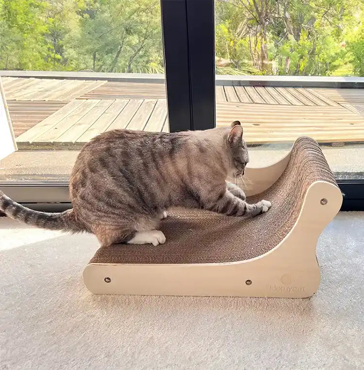Canapé griffoir Grand Divan pour chat