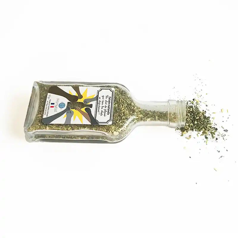 Cataire naturelle stimulante en fiole - catnip - herbe à chat française