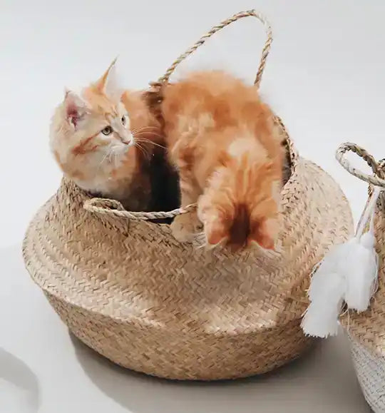 chatons-panier-tresse-naturel-chat-acier-jonc-de-mer-homycat-design