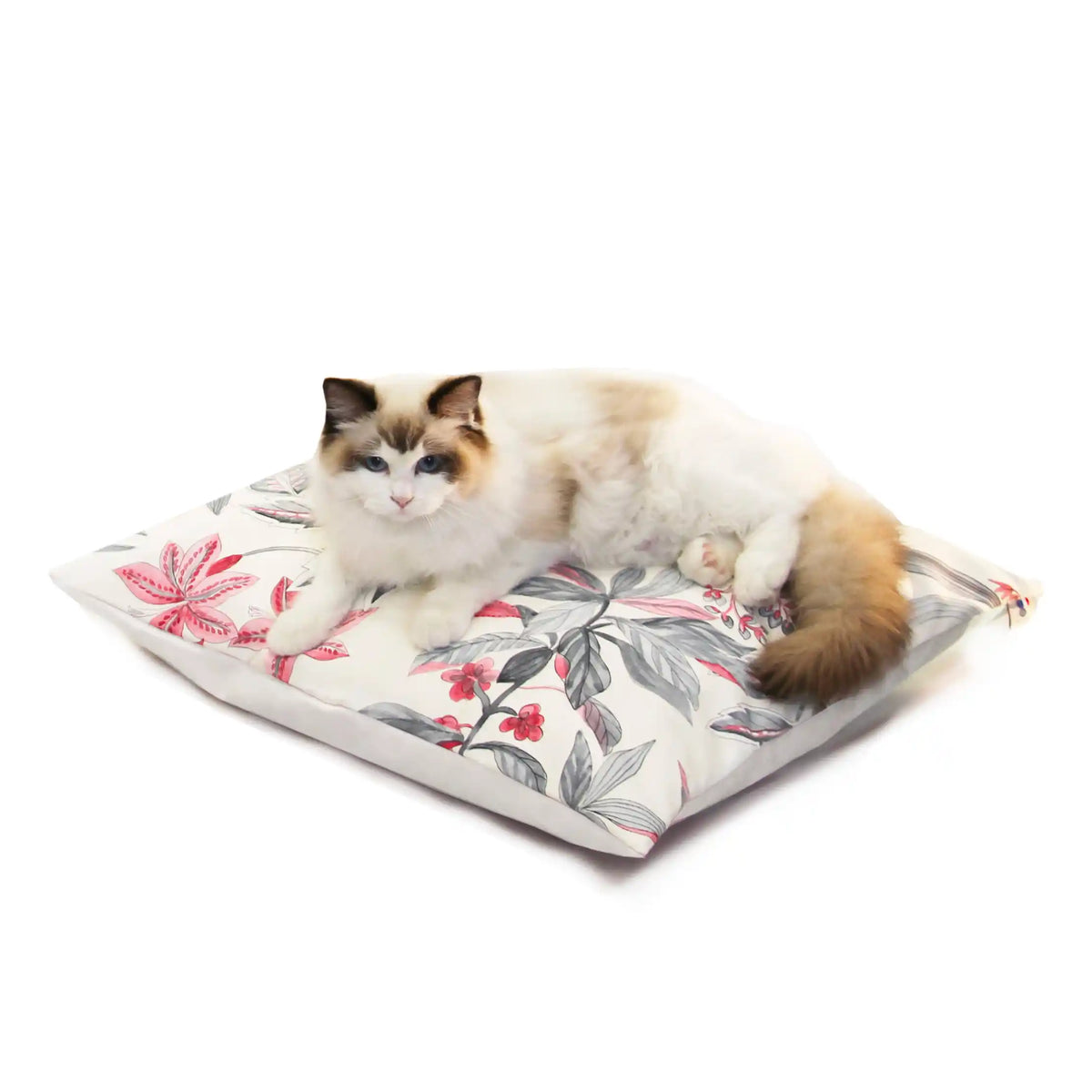 HOUSSES SEULES DÉCO 55x55CM POUR COUSSIN XL