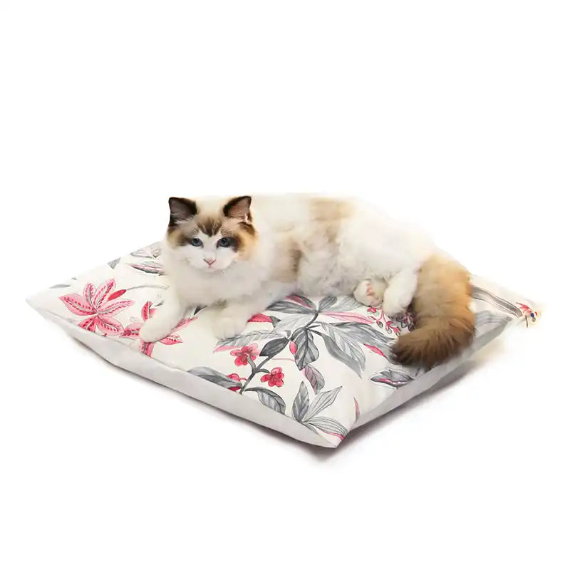 Coussins XL - Couchage chat stylé - SOLDES