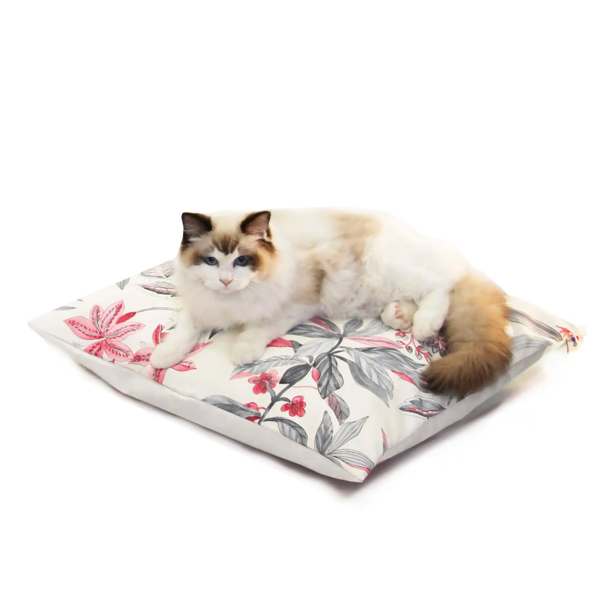 Coussins Design Chat - Ecru Fleuri Rose