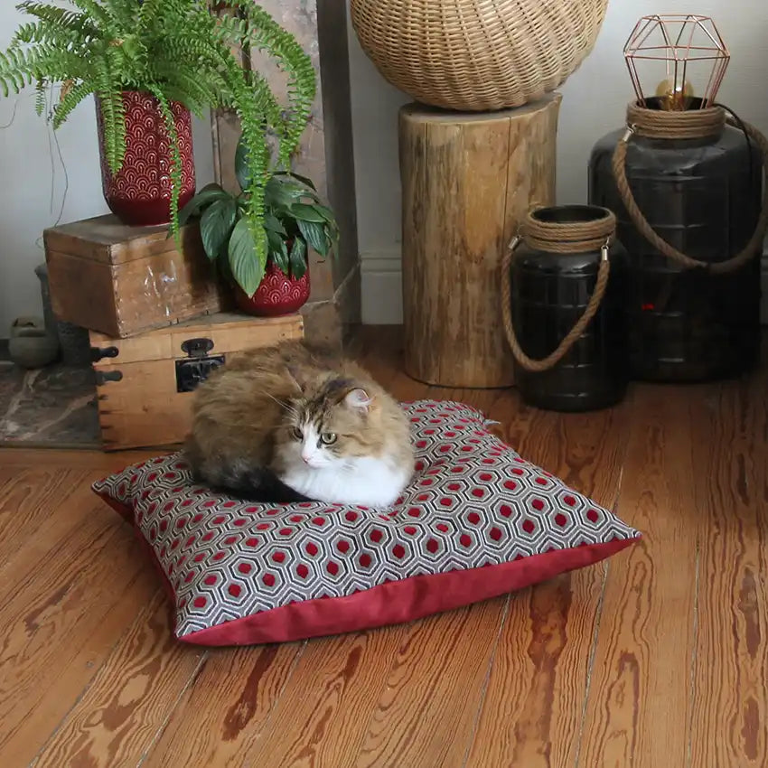 Coussins XL - Couchage chat stylé - Couleur au choix
