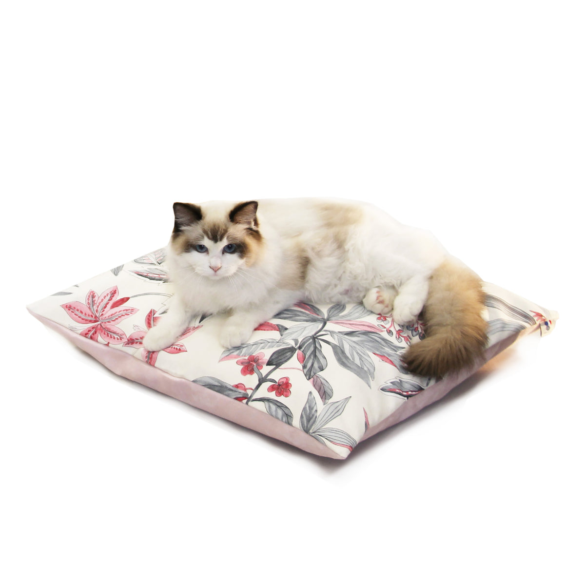 Coussin XL Design Chat - Fleuri Rose FIN DE SÉRIE