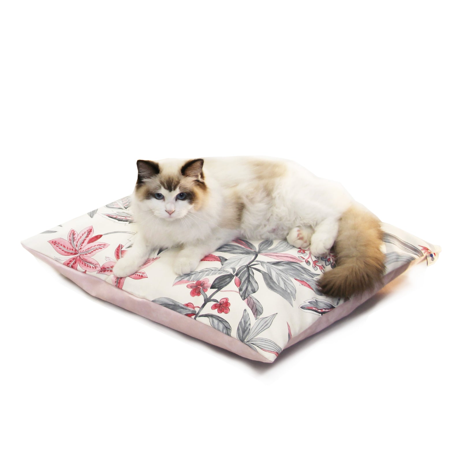 Coussin XL Design Chat - Fleuri Rose FIN DE SÉRIE