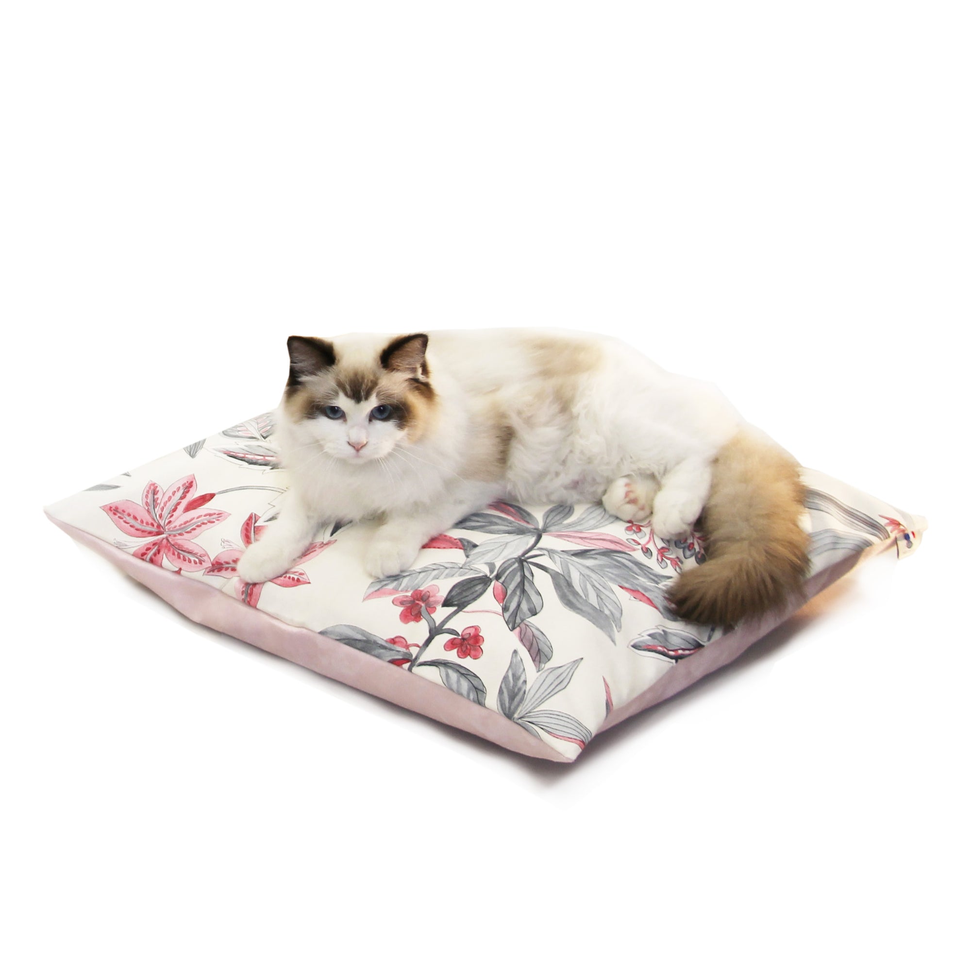 Coussin XL Design Chat - Fleuri Rose FIN DE SÉRIE