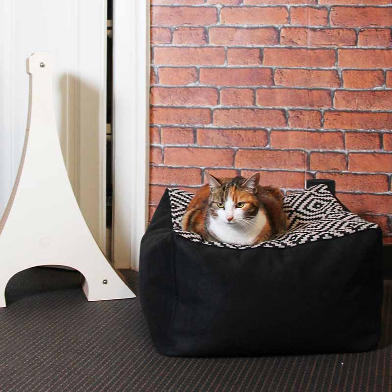 Pouf Cube - Couchages Chats Design - Choix couleur