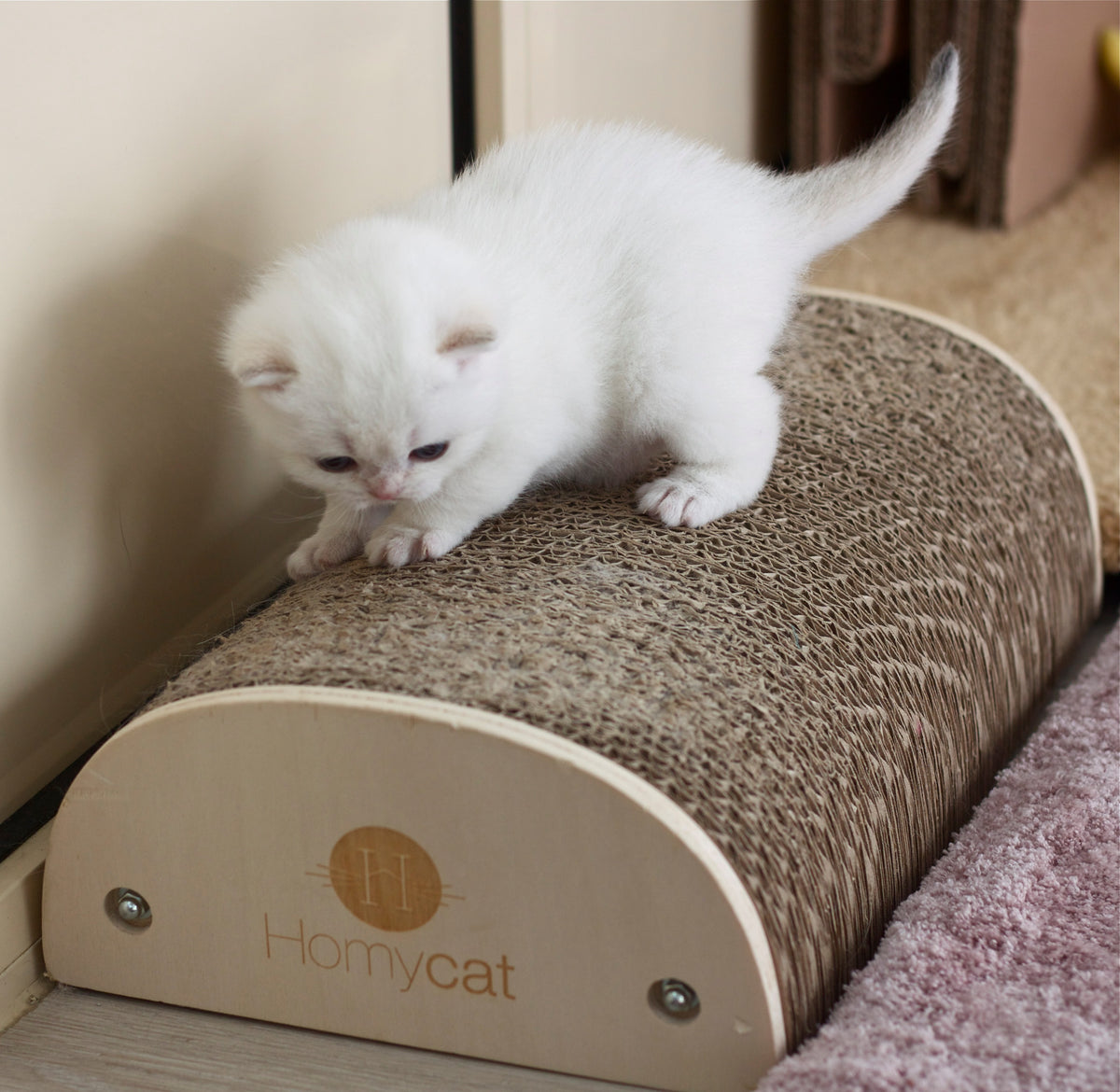 Griffoir demi-rond Homycat