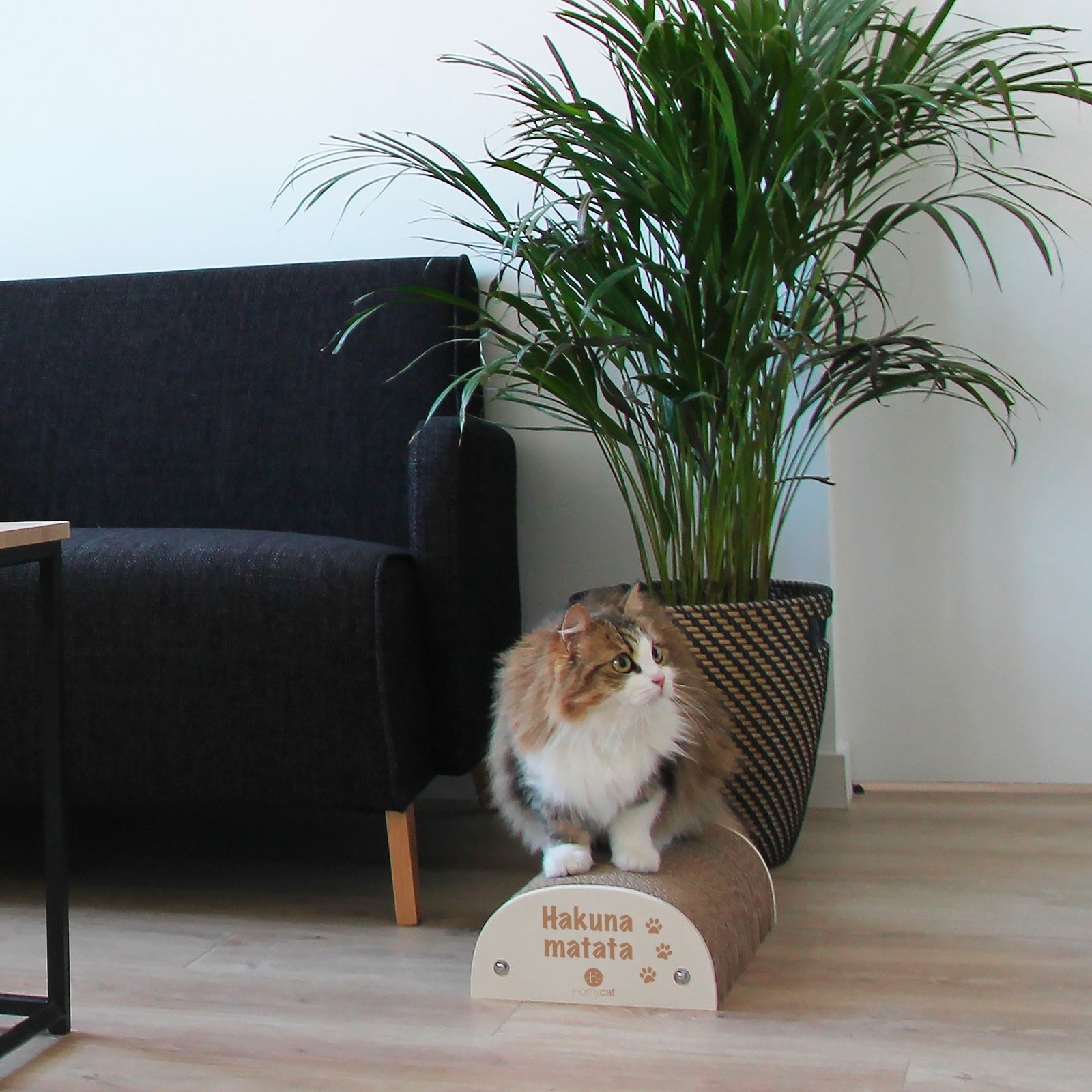 Griffoir chat "Hakuna Matata"