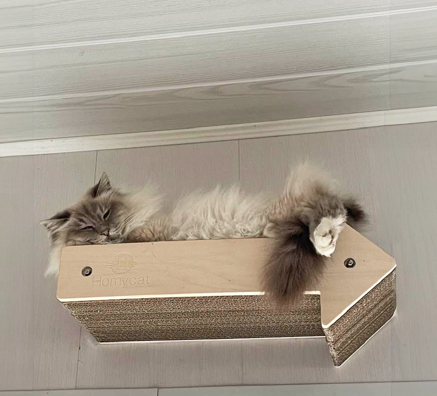 fleche-parcours-chat-deco-design-arbre-a-chat-france-carton-bois-homycat-plante-cuisine-design
