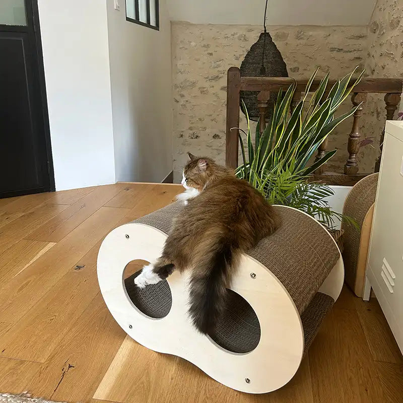 NOUVEAUTÉ - Griffoir Infini Homycat – 8 - Double vague