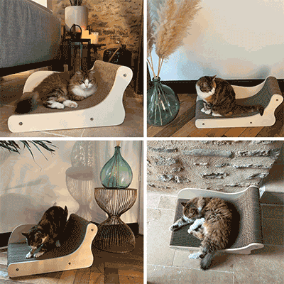Canapé Divan pour chat grand Griffoir