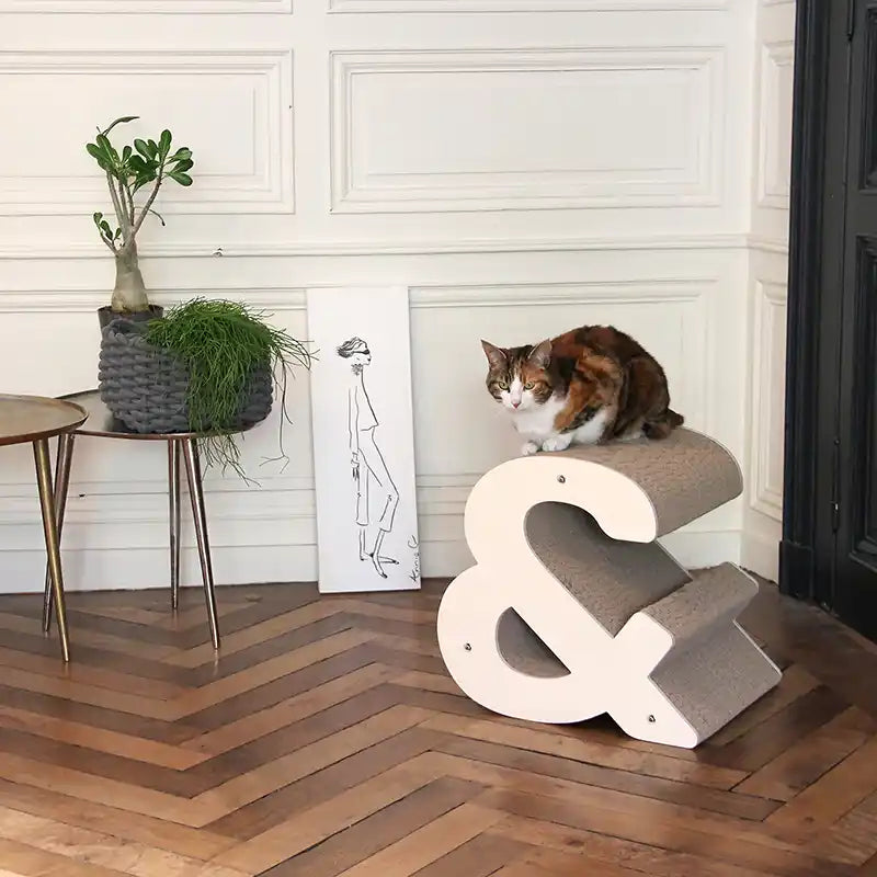 Griffoir chat Symbole esperluette &amp;